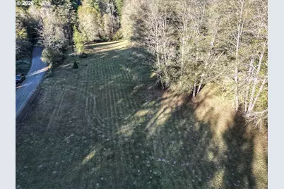 00 NE 142nd Ave, Amboy, WA 98601 - Photo 2