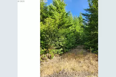 Tumala Mountain Road, Estacada, OR 97023 - Photo 4
