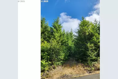 Tumala Mountain Road, Estacada, OR 97023 - Photo 6