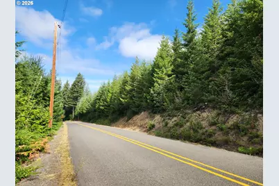 Tumala Mountain Road, Estacada, OR 97023 - Photo 8