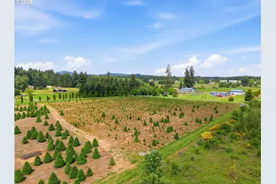 02 Shiloh Rd, Winlock, WA 98596 - Photo 4