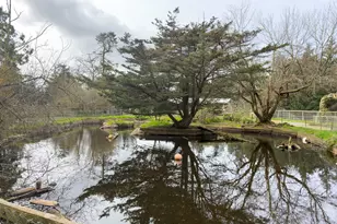 46914 Hwy 101, Bandon, OR 97411 - Photo 22
