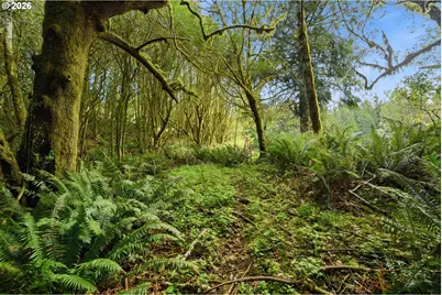 0 Cougar Rd, Coquille, OR 97423 - Photo 8