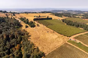 13 Franquette, Amity, OR 97101 - Photo 24