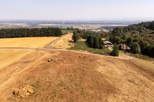 13 Franquette, Amity, OR 97101 - Photo 28