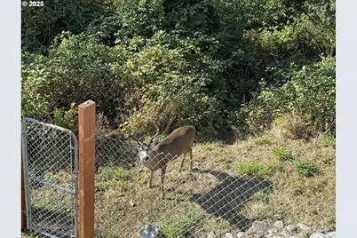 616 Pacific Ave, Brookings, OR 97415 - Photo 12