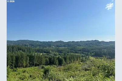 0 NE 206 Ave, Amboy, WA 98601 - Photo 36