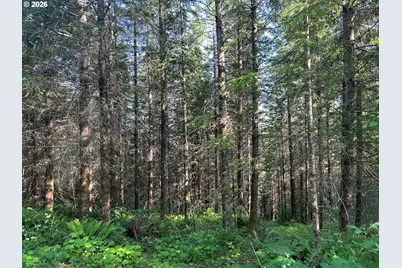 0 NE 206 Ave, Amboy, WA 98601 - Photo 40