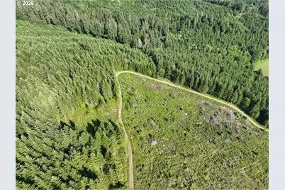 0 NE 206 Ave, Amboy, WA 98601 - Photo 6