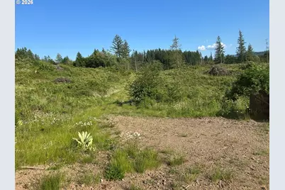 0 NE 206 Ave, Amboy, WA 98601 - Photo 42