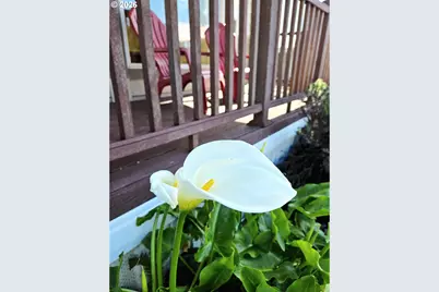 16219 Lower Harbor Rd, Brookings, OR 97415 - Photo 38