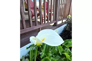 16219 Lower Harbor Rd, Brookings, OR 97415 - Photo 38