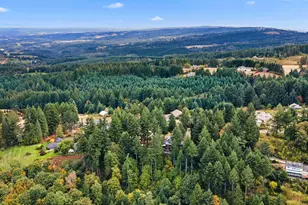 25475 NE Bald Peak Rd, Hillsboro, OR 97123 - Photo 40