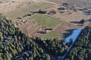 343 Little Mountain Rd, Trout Lake, WA 98650 - Photo 32