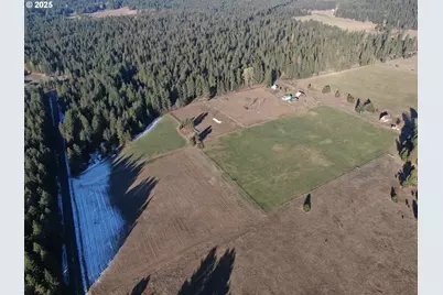 343 Little Mountain Rd, Trout Lake, WA 98650 - Photo 4