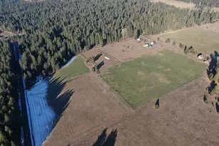 343 Little Mountain Rd, Trout Lake, WA 98650 - Photo 4