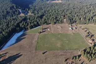 343 Little Mountain Rd, Trout Lake, WA 98650 - Photo 6