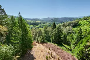 3707 Willis Creek Rd, Winston, OR 97496 - Photo 24