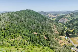 3707 Willis Creek Rd, Winston, OR 97496 - Photo 12