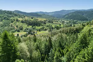 3707 Willis Creek Rd, Winston, OR 97496 - Photo 14