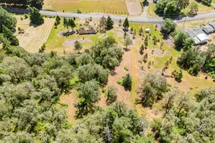 3707 Willis Creek Rd, Winston, OR 97496 - Photo 10