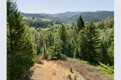 3707 Willis Creek Rd, Winston, OR 97496 - Photo 20