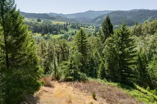 3707 Willis Creek Rd, Winston, OR 97496 - Photo 20