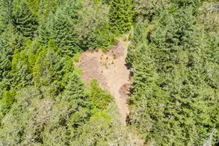 3707 Willis Creek Rd, Winston, OR 97496 - Photo 22