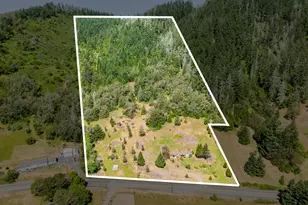 3707 Willis Creek Rd, Winston, OR 97496 - Photo 8