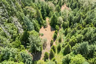 3707 Willis Creek Rd, Winston, OR 97496 - Photo 18