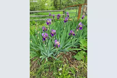 293 E Ivy Ln, Union, OR 97883 - Photo 40