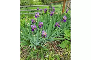 293 E Ivy Ln, Union, OR 97883 - Photo 40