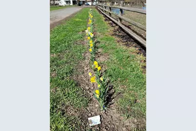 293 E Ivy Ln, Union, OR 97883 - Photo 34