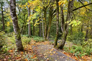 9676 SE Chula Vista Ct, Happy Valley, OR 97086 - Photo 44