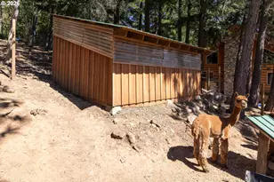 82 Meadows Loop, Lyle, WA 98635 - Photo 30