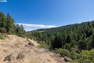 82 Meadows Loop, Lyle, WA 98635 - Photo 46