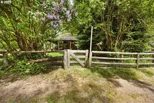2128 Starveout Creek Rd, Azalea, OR 97410 - Photo 20