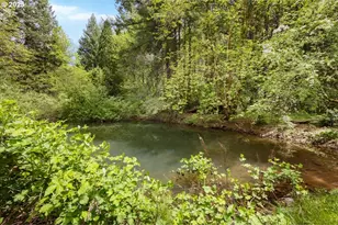 2128 Starveout Creek Rd, Azalea, OR 97410 - Photo 2