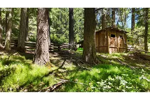 2128 Starveout Creek Rd, Azalea, OR 97410 - Photo 22