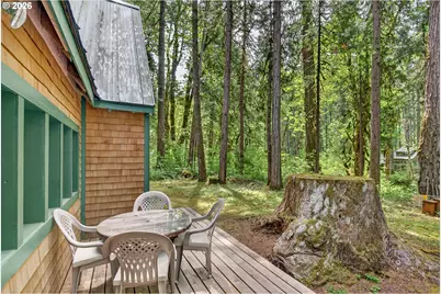 55284 Delta Rd, Blue River, OR 97413 - Photo 38