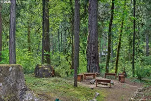 55284 Delta Rd, Blue River, OR 97413 - Photo 42