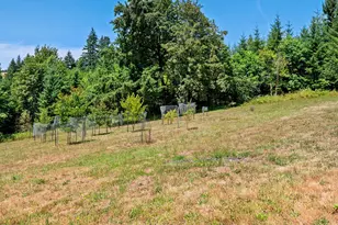 19267 NW Pumpkin Ridge Rd, North Plains, OR 97133 - Photo 40