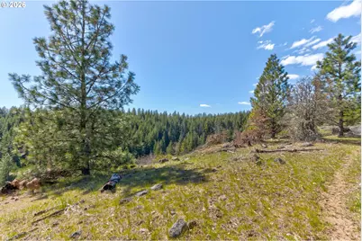 10 Piper Ln, Goldendale, WA 98620 - Photo 10