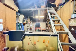 328 Spruce Dr Dr, Brookings, OR 97415 - Photo 28