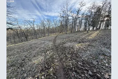 Piney Woods, Goldendale, WA 98620 - Photo 6