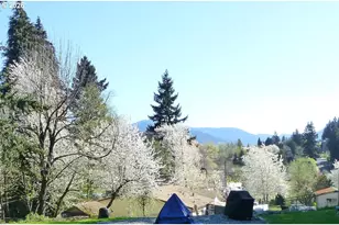 51 Wilkinson St, Carson, WA 98610 - Photo 36