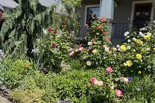 1924 NE 47th Ave, Portland, OR 97213 - Photo 42