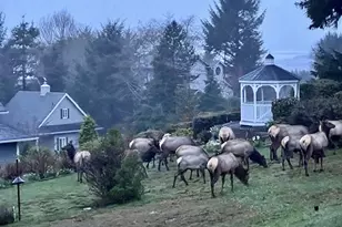 161 Combs Cir, Yachats, OR 97498 - Photo 46