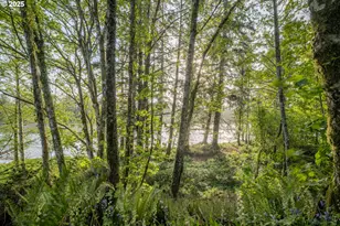 92216 Whiskey Rd, Warrenton, OR 97146 - Photo 38