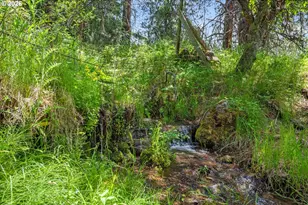 70170 Fletcher Ln, Cove, OR 97824 - Photo 34